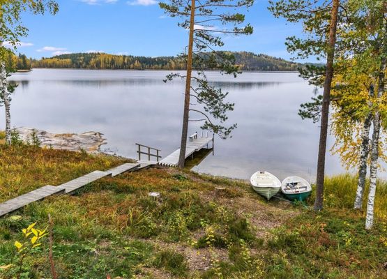 Koivuranta